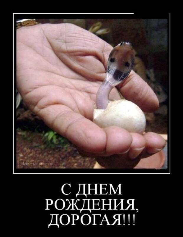 Демотиваторы  демотиваторы, прикол, смех, юмор
