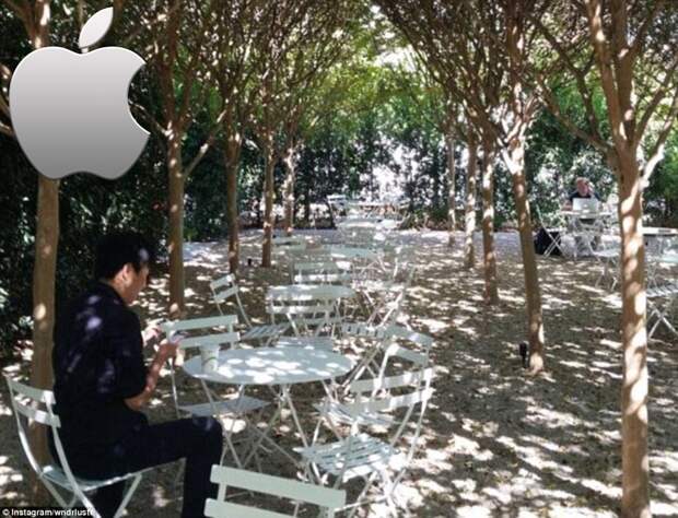 Столовая Apple