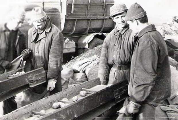 Одним из неотъемлемых признаков жизни студентов в СССР была поездка «на картошку».