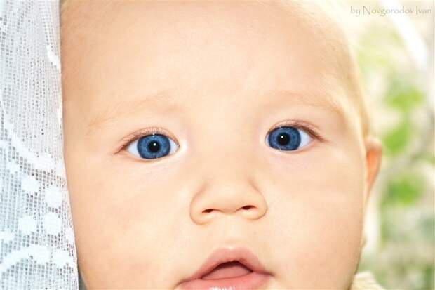 2795685_1067828 (700x466, 135Kb)
