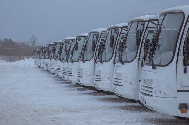 Расписание 20 пригородных автобусов изменится на новогодние праздники