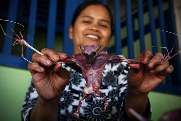 Bats Consumed For Good 18 Поедая мясо летучих мышей