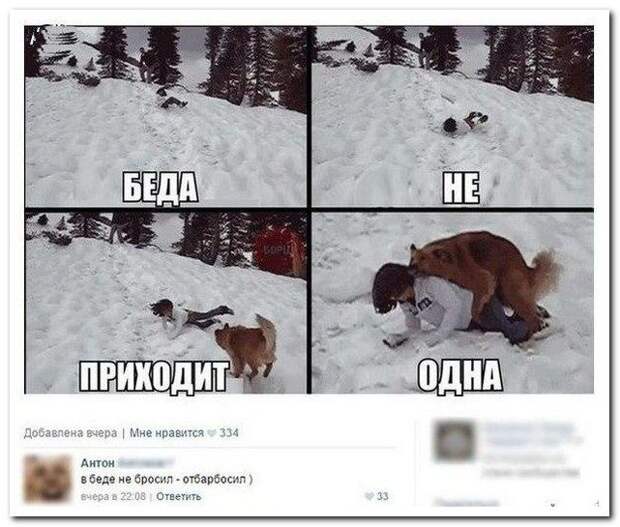 Комментарии из соцсетей