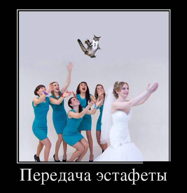 Демотиваторы (30 фото)