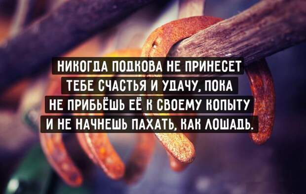 Совет дня советы, юмор