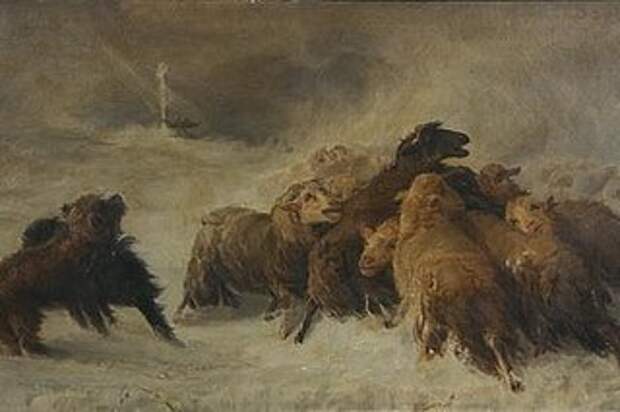Август Фридрих Альбрехт Шенк и его овечки.