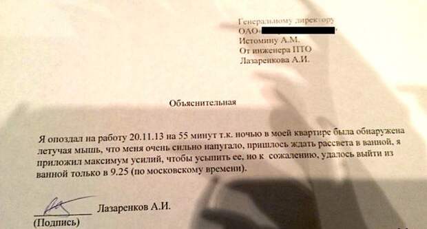 Вот как правильно писать объяснительные Вот как правильно писать объяснительные объяснительные, смешно