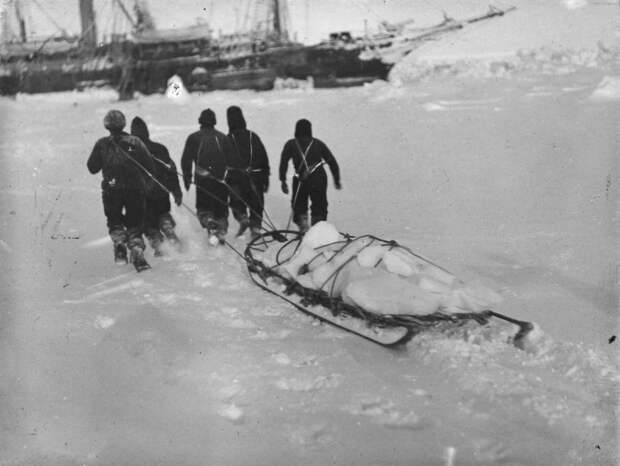 1914-1916 годы: «Эндьюранс» или история выживания 28 человек среди льдов Антарктики 1914-1916 годы: «Эндьюранс» или история выживания 28 человек среди льдов Антарктики