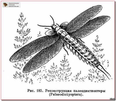 Доисторическая стрекоза - реконструкция