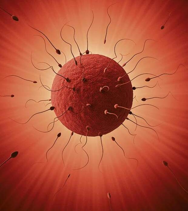 I-15-TELEGR-news-f03_640