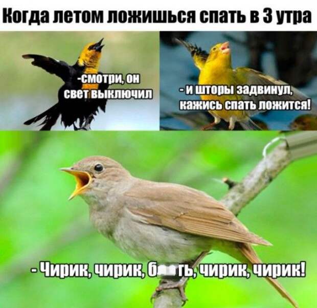 Подборка легкого юмора. Часть 6 (36 фото)