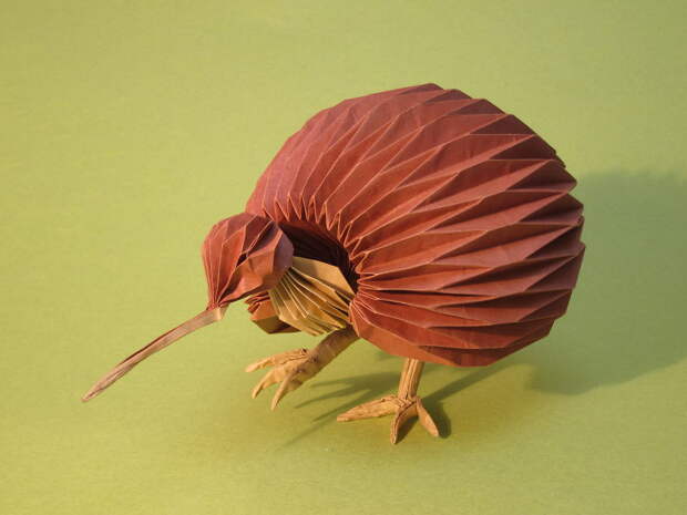 Kiwi1__880