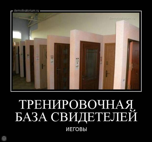 Пусть жизнь научит! 23