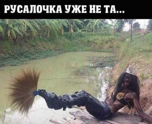 Картинки, юмор, приколы
