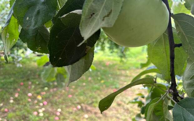 photo_2025-09-02_13-41-15.jpg photo_2025-09-02_13-41-15.jpg