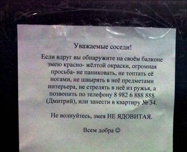 Записки от людей, которым повезло с соседями