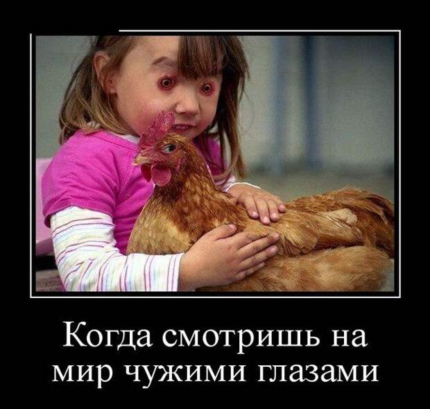 Демотиваторы