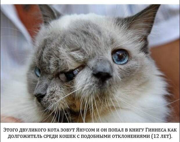 Настоящие снимки, которые не были обработаны (20 фото)