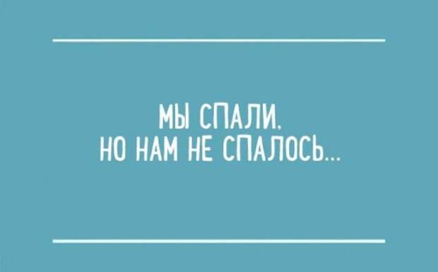 Перлы из сочинений школьников (15 фото)