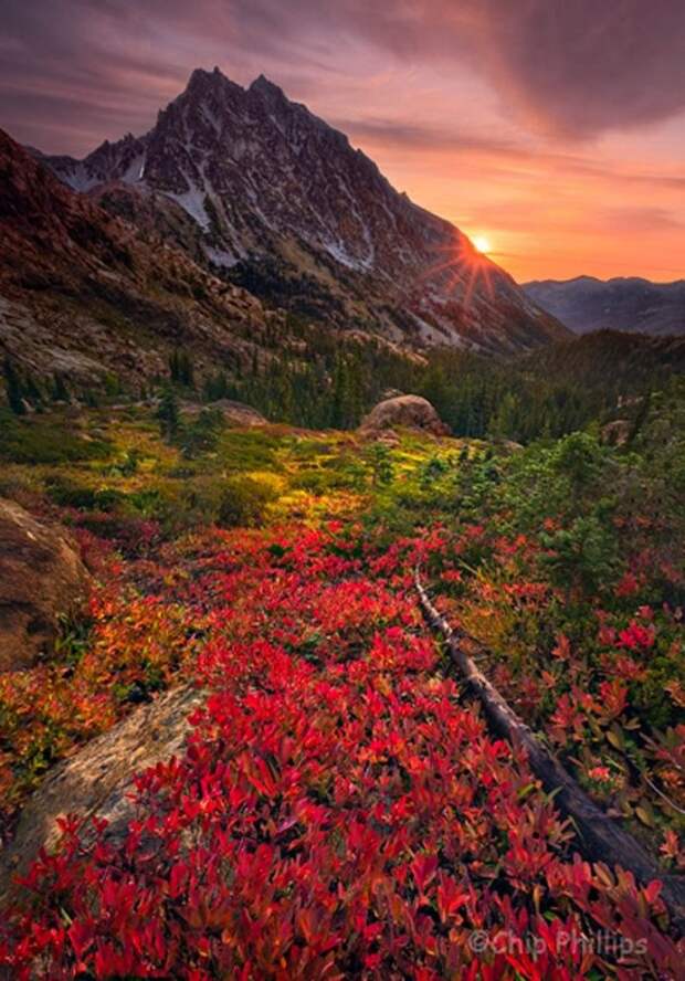 Восход солнца в Mount Stewart, штат Вашингтон. (фото Chip Phillips)