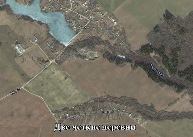 Прикольные картинки (92 фото)
