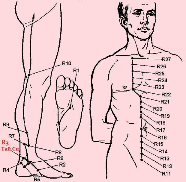 Тай си. Точки для прилива энергии. Наружная часть тела Тай Ян.