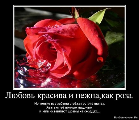 Демотиваторы о чувствах и любви.