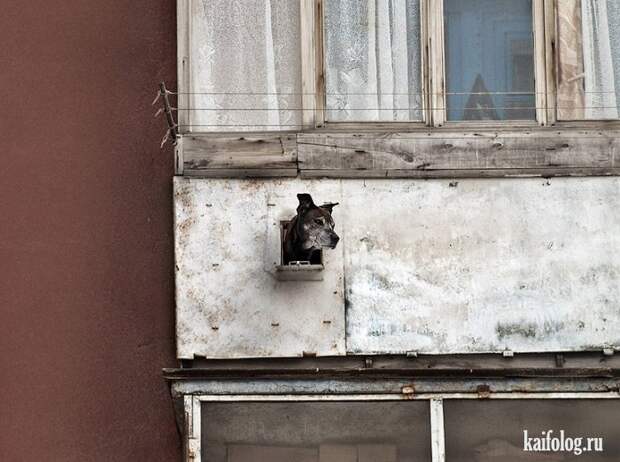 Прикольные балконы (65 фото)