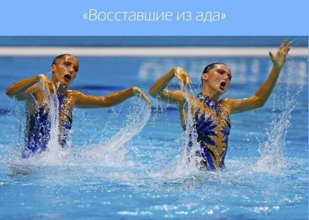 Эти забавные синхронистки  вода, синхронистки, спорт, юмор