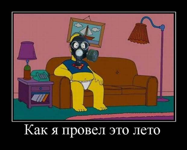 Как я провел это лето