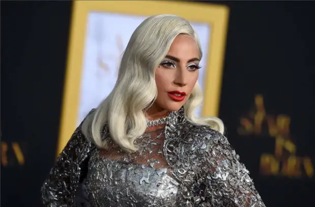 Соседов усомнился в интеллектуальных способностях Леди Гаги после ее оскорбления в сторону россиян