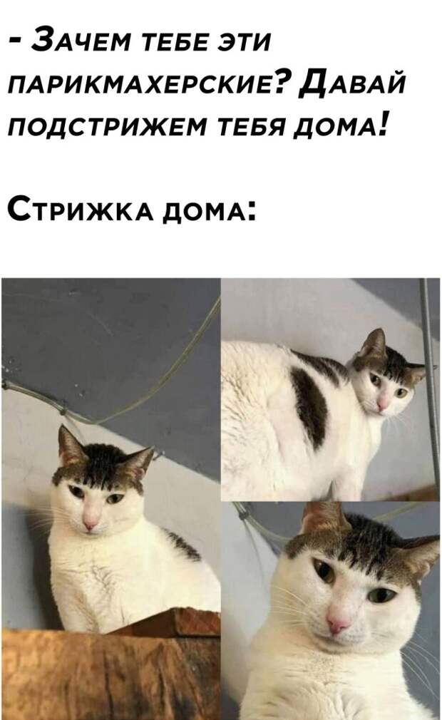 Смешные картинки вечер 2 марта 2021 года