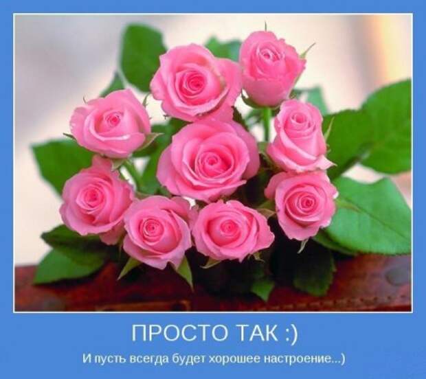 мотиваторы