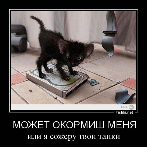 Демотиваторы демотиваторы, картинки, приколы