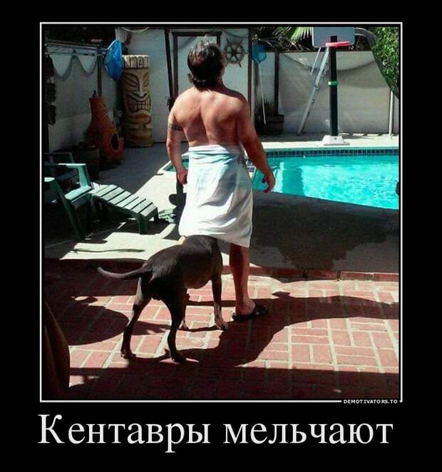 Демотиваторы демотиваторы, прикол, смех, юмор