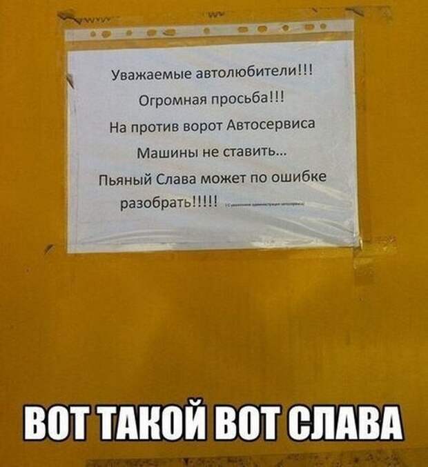 автоприколы