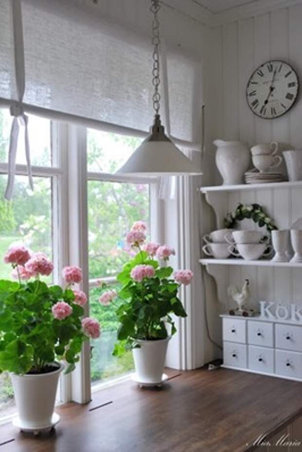 Комнатные цветы в интерьере кухни фото