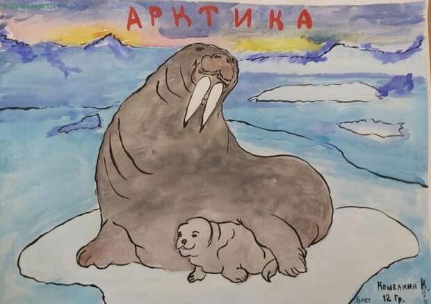 школа 534 рисунки 120320 (1)