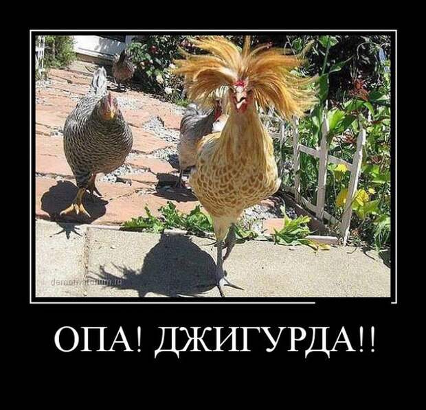Демотиваторы Демотиваторы демотиваторы, юмор