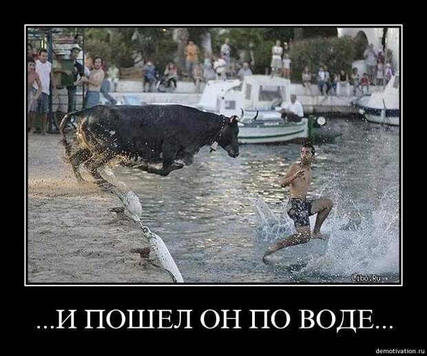 Демотиваторы для поднятия настроения!