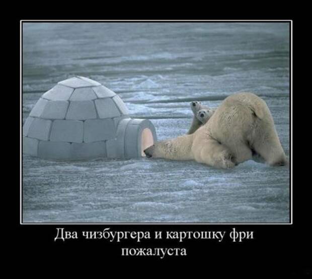 Демотиваторы новые фото приколы и смешные.