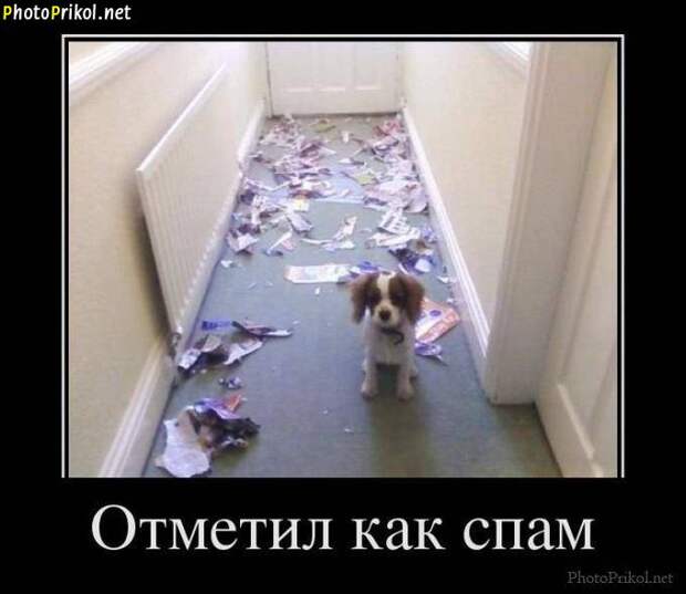 Смешные и прикольные демотиваторы (30 демотиваторов) Смешные и прикольные демотиваторы (30 демотиваторов)