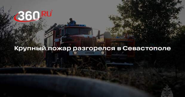 Губернатор Севастополя Развожаев: в Верхнесадовом огонь охватил 2,5 га
