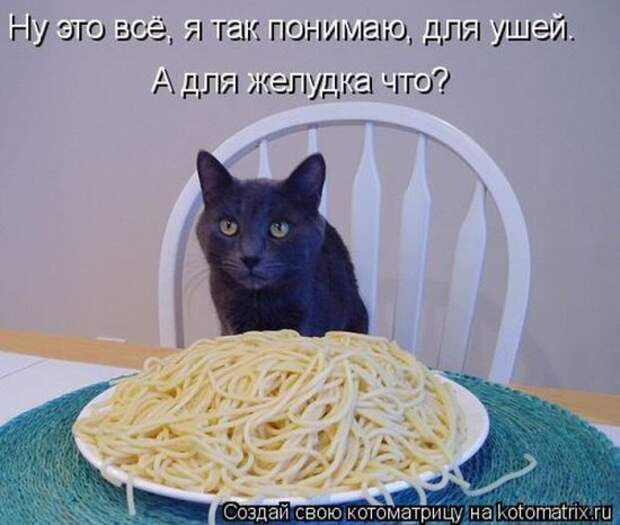 Подборка Котоматриц 2010 - Выпуск 28