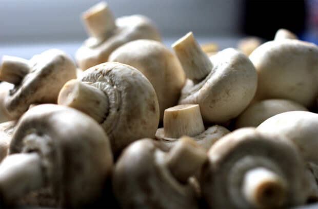 Главные правила приготовления грибов, которые нужно знать