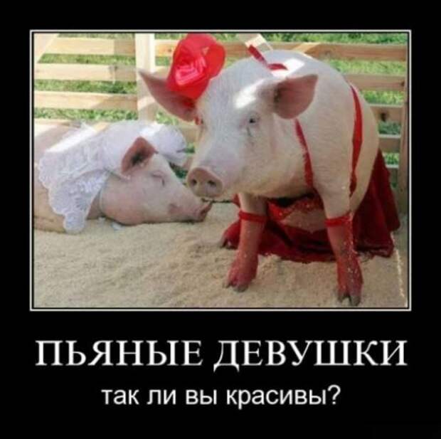 Серьезные и умные демотиваторы.