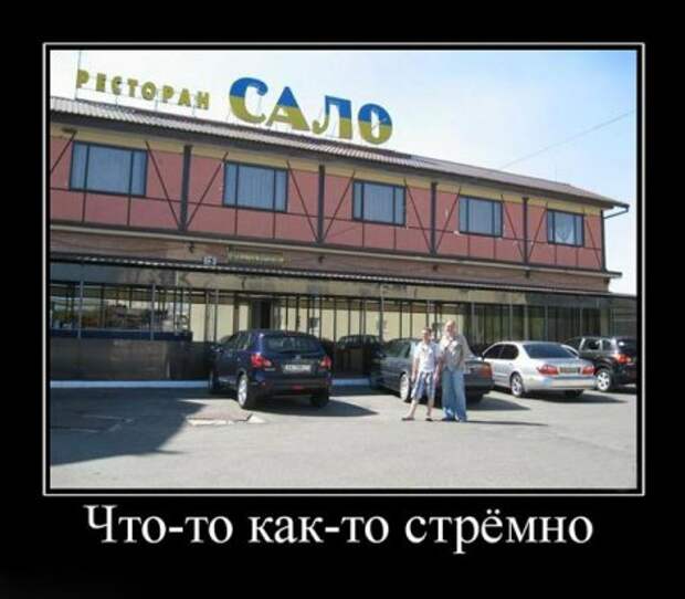 Демотиваторы забавные, новые и только прикольные для вас!