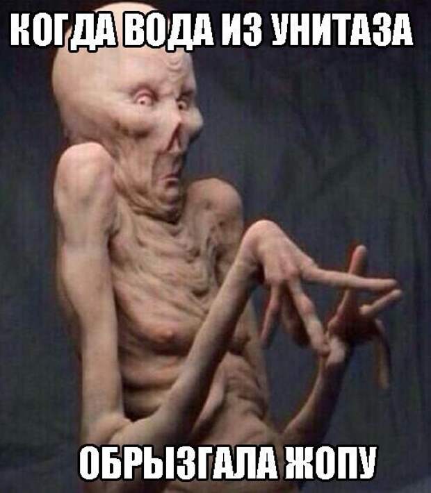 Смешные картинки с надписями прикол, юмор
