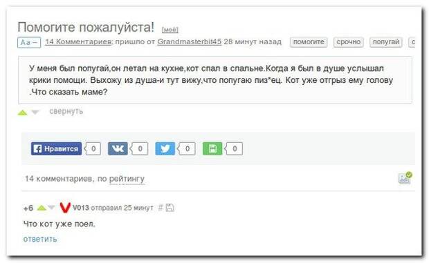 Комментарии из соцсетей