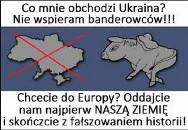 Поляки провели во Львове антибандеровскую акцию